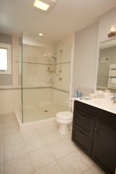 Tub to Shower