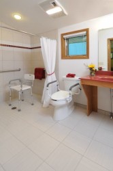 Wheelchair Accessible Bathroom